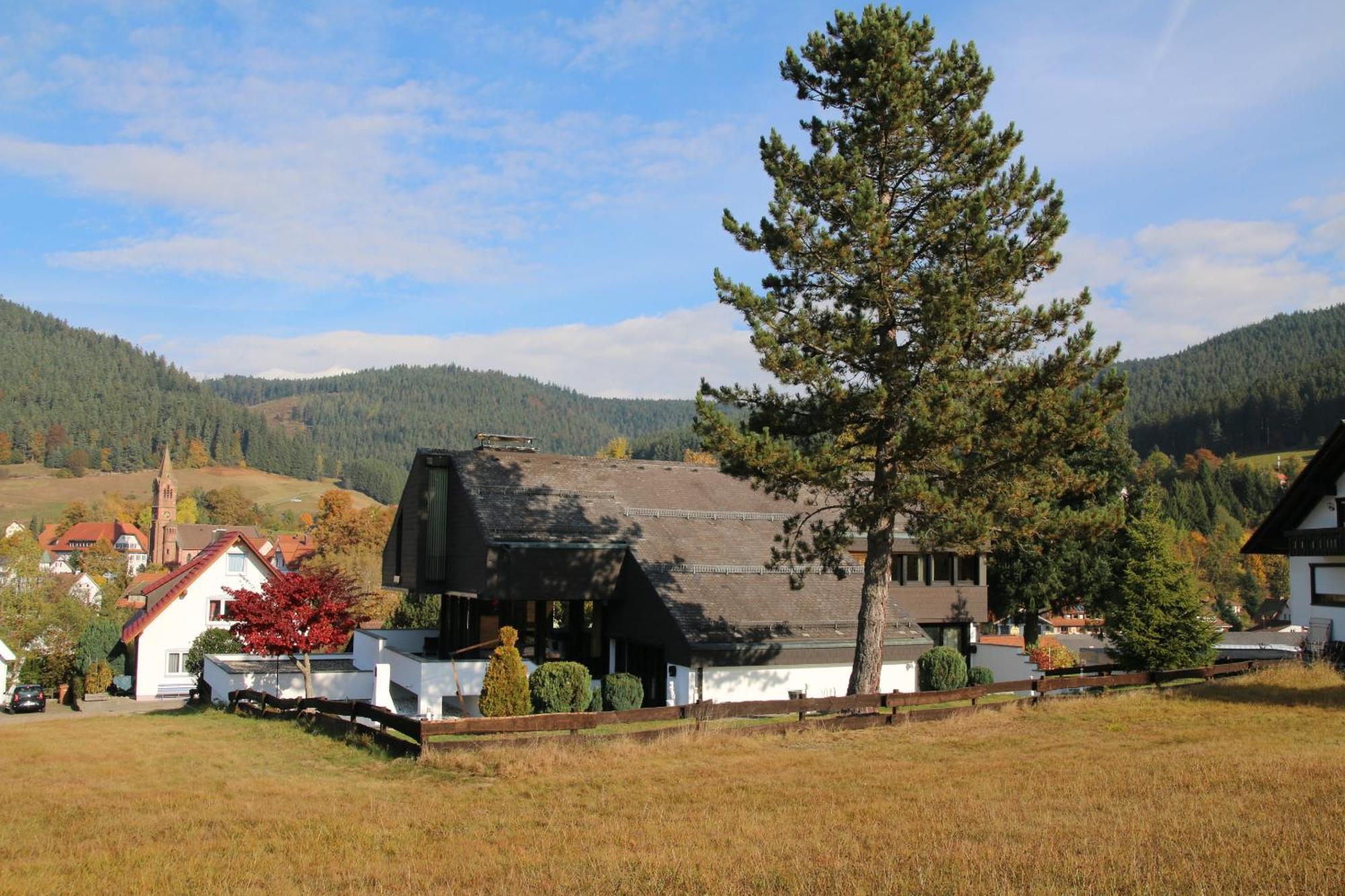 Luxus-Landhaus Im Schwarzwald/Baiersbronn Mit Pool Dış mekan fotoğraf
