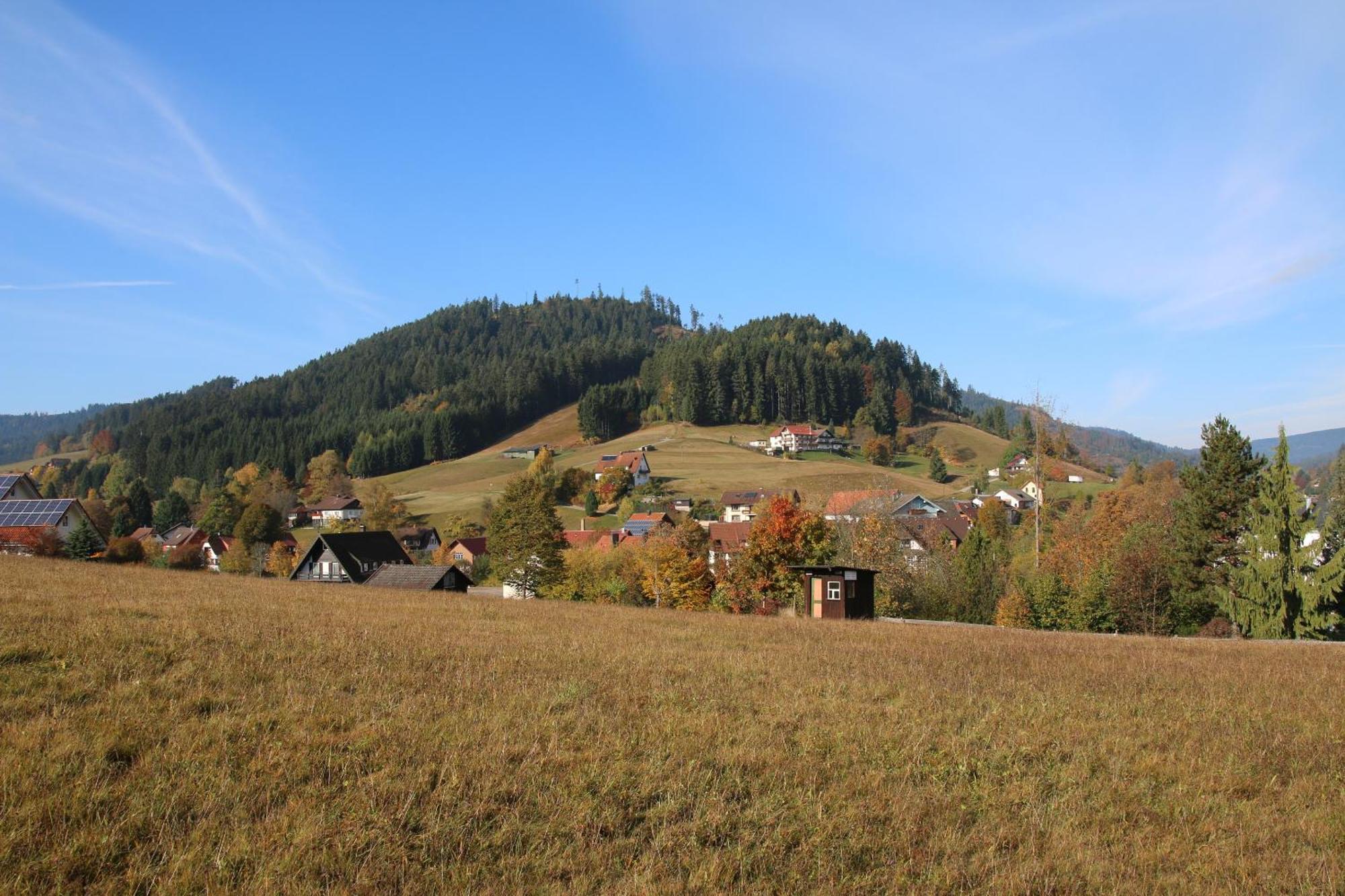 Luxus-Landhaus Im Schwarzwald/Baiersbronn Mit Pool Dış mekan fotoğraf
